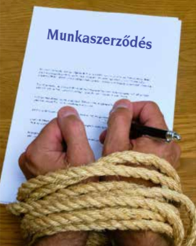 Mit írjunk a munkaszerződésbe és mi az, amit mindenképpen ki kellene húznunk belőle?